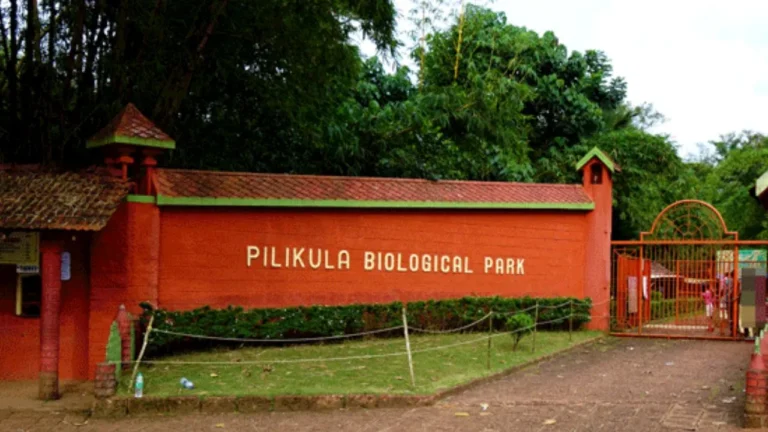 pilikula