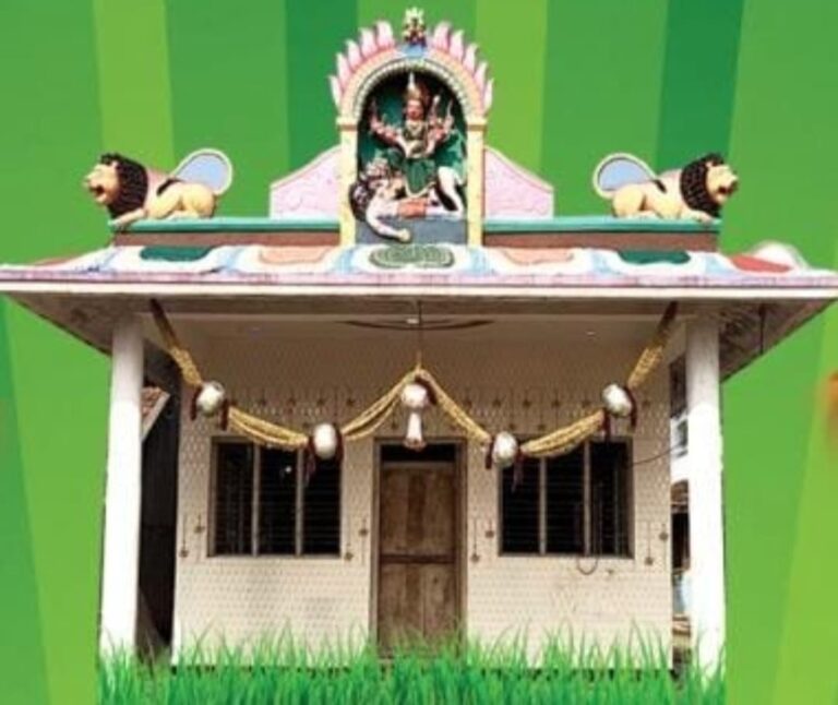 WhatsApp Image 2026-03-11 at 5.51.22 PM