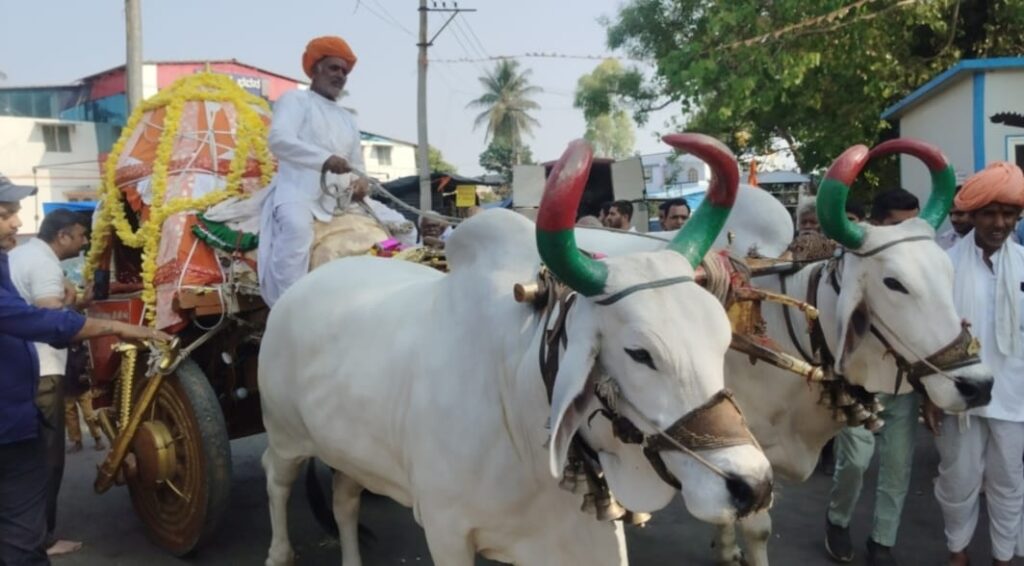 WhatsApp Image 2026-03-13 at 6.15.26 PM