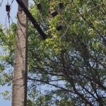 WhatsApp Image 2026-03-13 at 8.31.42 PM (1)