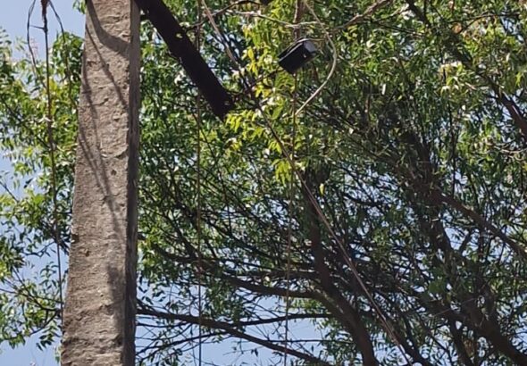 WhatsApp Image 2026-03-13 at 8.31.42 PM (1)