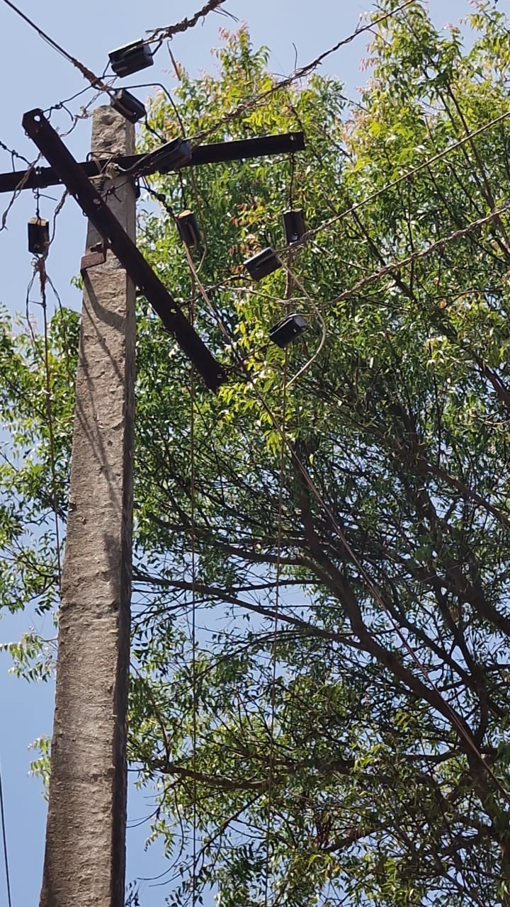 WhatsApp Image 2026-03-13 at 8.31.42 PM (1)