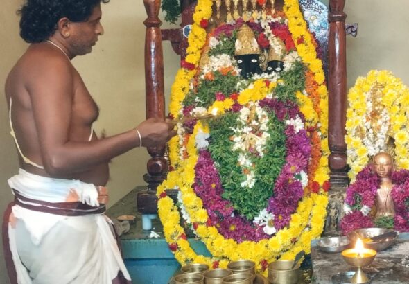 WhatsApp Image 2026-03-20 at 7.23.30 PM