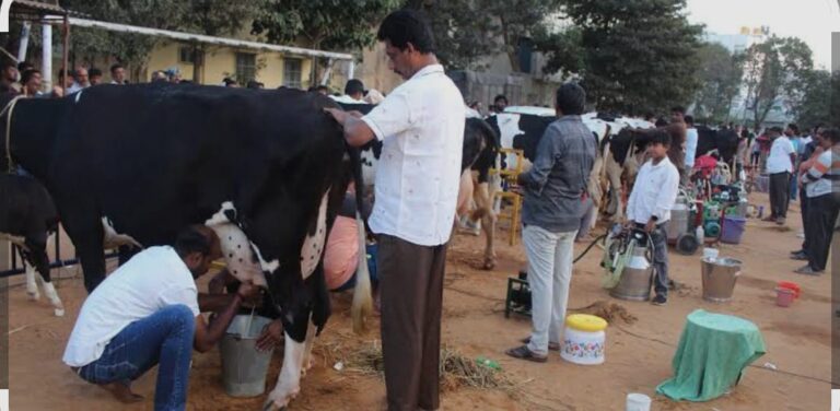 WhatsApp Image 2026-03-26 at 6.04.40 PM