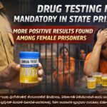 file_0000000092b871fa89ab34cf1c2c76a2