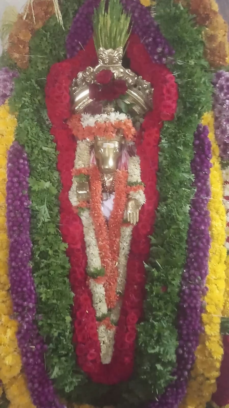 WhatsApp Image 2026-04-20 at 10.55.41 PM