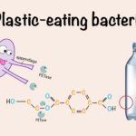 Ym4LpOwMhAwdPPkTxf6anZhxbsxlLfGBINz0WmholJWi7UpeFBG6-Hjk3AwBh22wRVcrfWQre5dwBg-f4P1MysYyh8FmR0xHGhQGLA5wwIKQQ3kQ9FYjxMGnBHpwcwTZVDg89rDuB8Q9tJcdmyJq7GuxaJvy-Hiyat246rQddsi8RxEQoPp0OpyDGhlD1alF