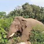 w-412,h-232,imgid-01jd7dzw75nx1w10e9f3raj8hn,imgname-screenshot-2024-11-21-184556