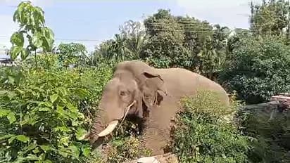 w-412,h-232,imgid-01jd7dzw75nx1w10e9f3raj8hn,imgname-screenshot-2024-11-21-184556