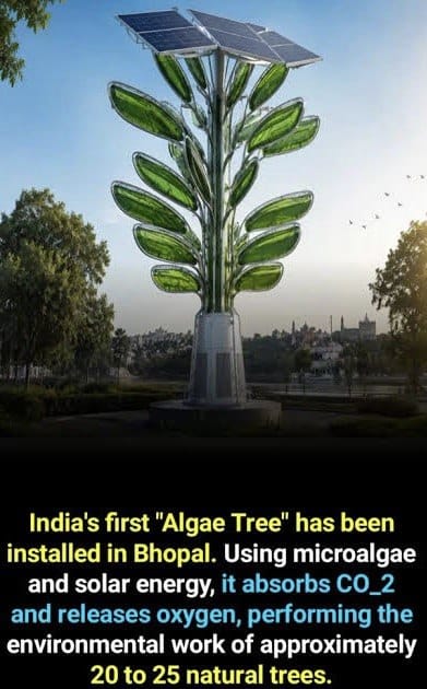 WhatsApp Image 2026-05-19 at 10.17.39 AM