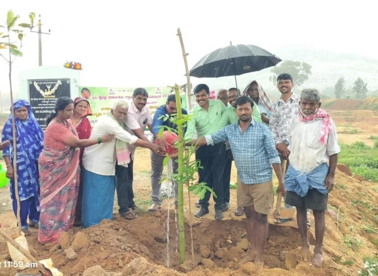 IMG-20260825-WA0028