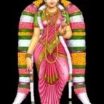 WhatsApp Image 2026-08-14 at 5.03.36 PM