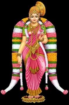 WhatsApp Image 2026-08-14 at 5.03.36 PM