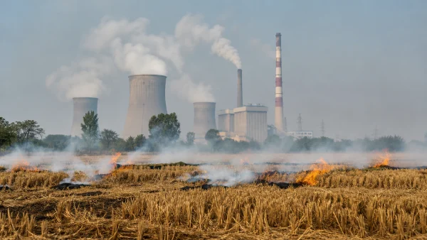 important-biomass-utilisation-and-co-firing-initiatives-in-india-hldi-600x338 (1)