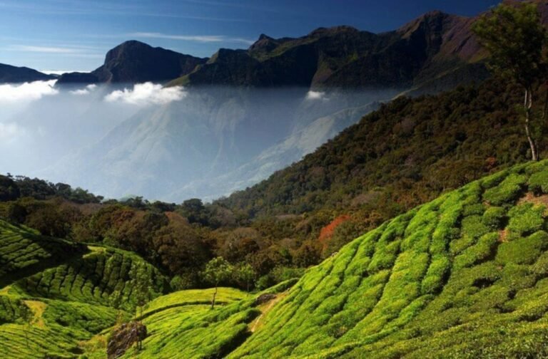 Trip-To-Western-Ghat-1024x672